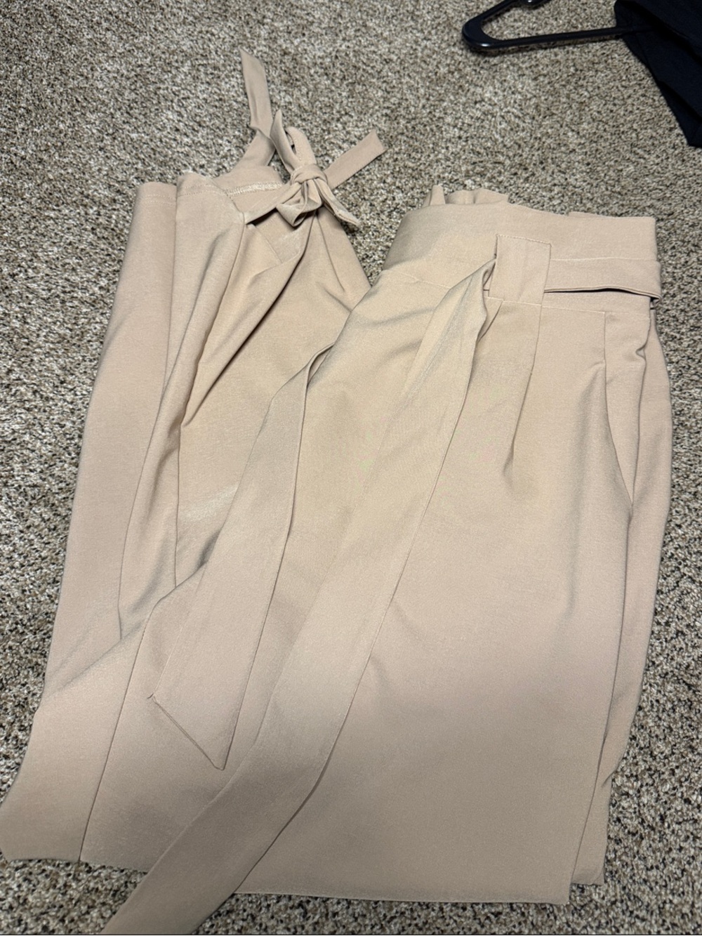 High-Waist Tie-Belt Wide-Leg Pants - Beige